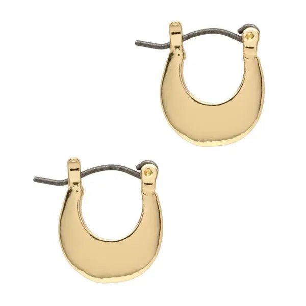 Gold Mini Cresent Hoop Earrings - Lake City Boutique